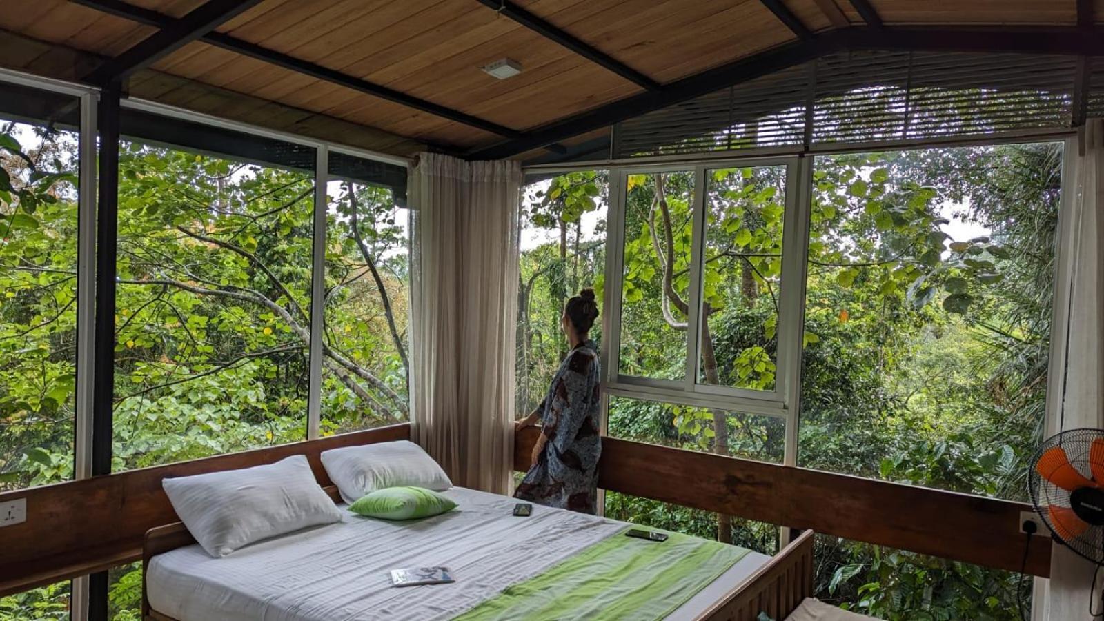 Sinharaja Kurulu Ella Eco Resort 데니야야 외부 사진