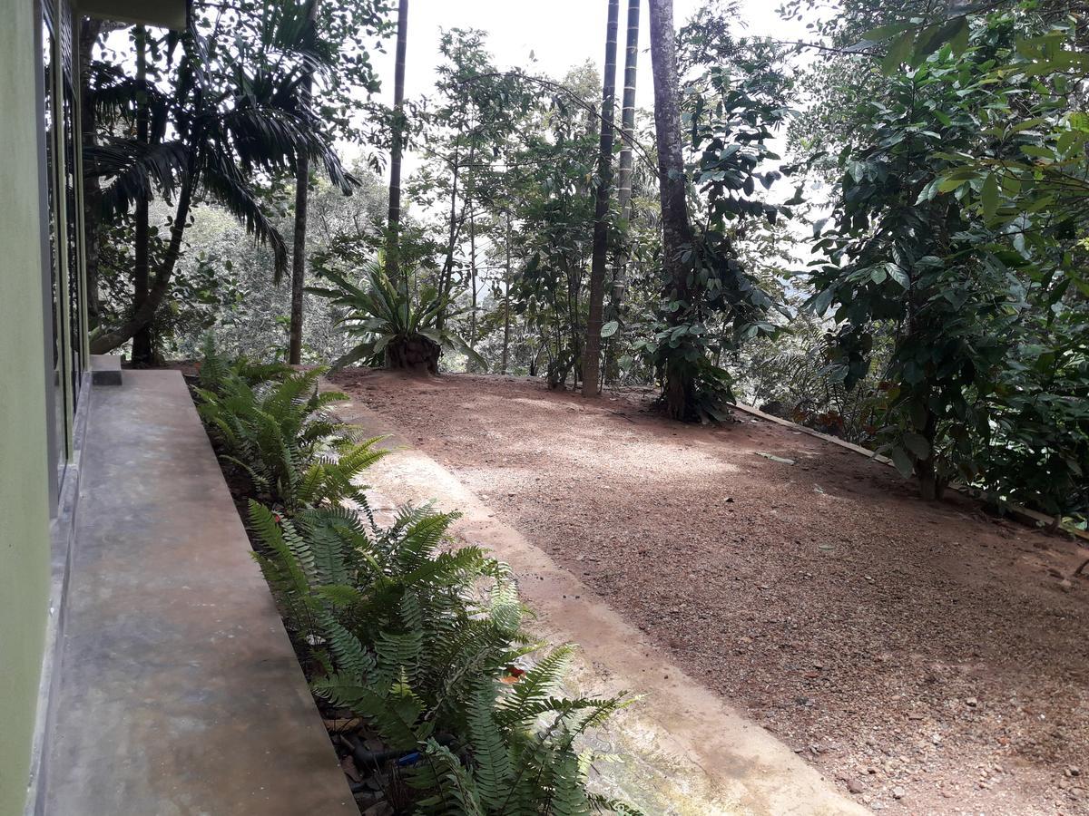 Sinharaja Kurulu Ella Eco Resort 데니야야 외부 사진